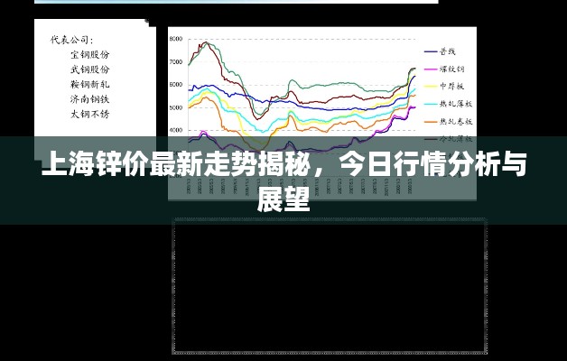 上海锌价最新走势揭秘，今日行情分析与展望
