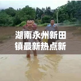 湖南永州新田镇最新热点新闻聚焦