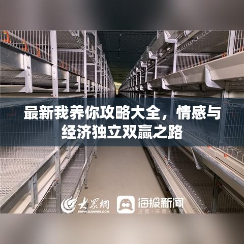 最新我养你攻略大全，情感与经济独立双赢之路