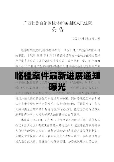 临桂案件最新进展通知曝光