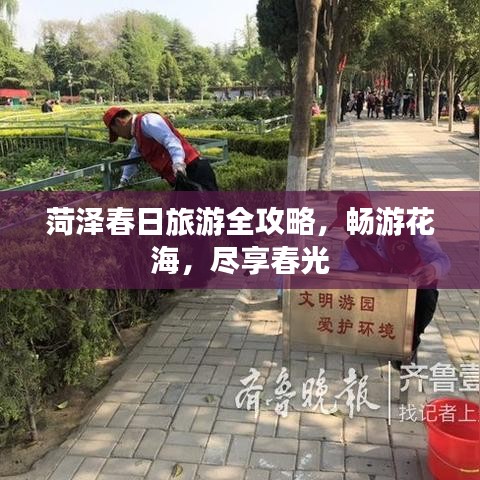菏泽春日旅游全攻略，畅游花海，尽享春光