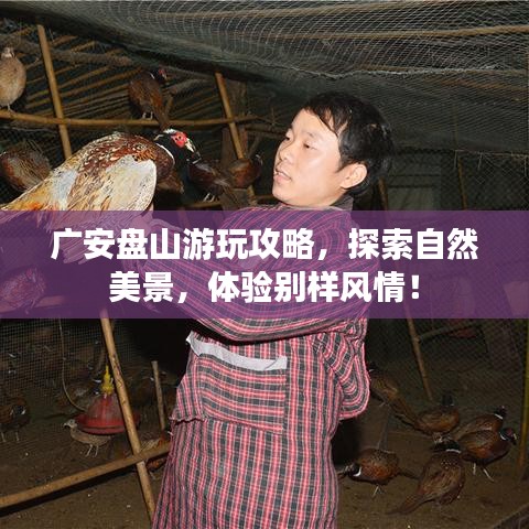 广安盘山游玩攻略，探索自然美景，体验别样风情！