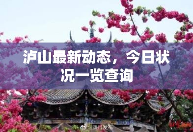 泸山最新动态，今日状况一览查询