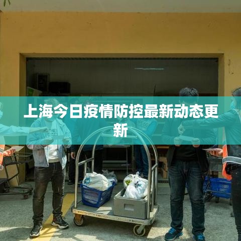 上海今日疫情防控最新动态更新