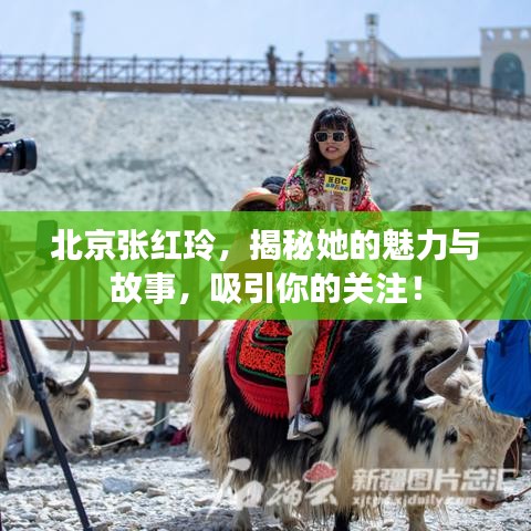 鸟入樊笼 第2页