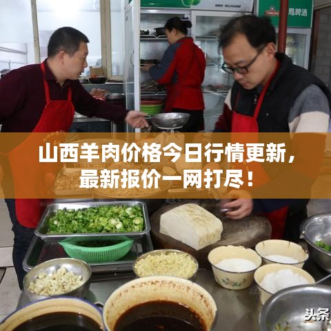 山西羊肉价格今日行情更新，最新报价一网打尽！
