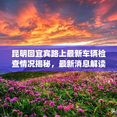 昆明回宜宾路上最新车辆检查情况揭秘，最新消息解读