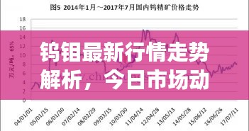 钨钼最新行情走势解析，今日市场动态一网打尽