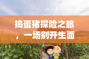 利官近贵 第2页