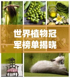 世界植物冠军榜单揭晓，自然之美的璀璨瑰宝展示！