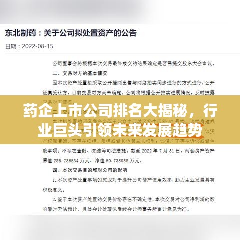 药企上市公司排名大揭秘，行业巨头引领未来发展趋势