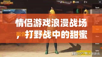 情侣游戏浪漫战场，打野战中的甜蜜爱恋之旅