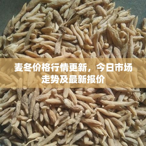 麦冬价格行情更新，今日市场走势及最新报价