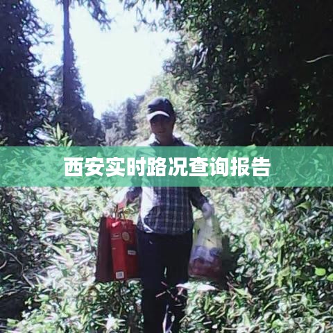 西安实时路况查询报告