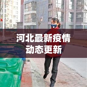河北最新疫情动态更新