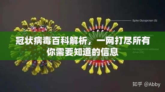 冠状病毒百科解析，一网打尽所有你需要知道的信息