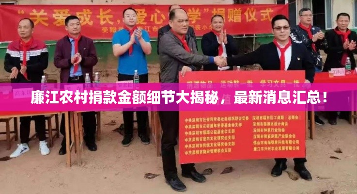 廉江农村捐款金额细节大揭秘，最新消息汇总！