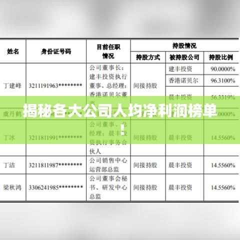 揭秘各大公司人均净利润榜单！