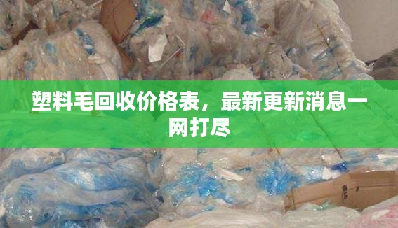 塑料毛回收价格表，最新更新消息一网打尽