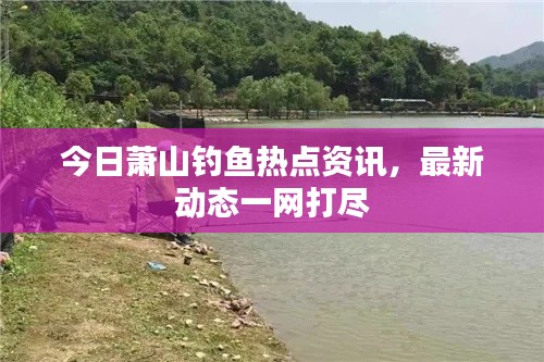 今日萧山钓鱼热点资讯，最新动态一网打尽