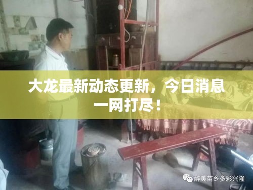 大龙最新动态更新，今日消息一网打尽！