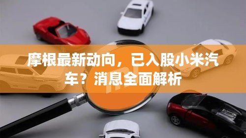 摩根最新动向，已入股小米汽车？消息全面解析