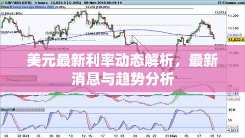 美元最新利率动态解析，最新消息与趋势分析