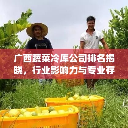 广西蔬菜冷库公司排名揭晓，行业影响力与专业存储解决方案引领者