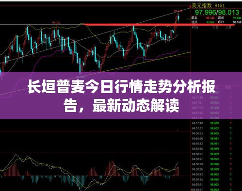 长垣普麦今日行情走势分析报告，最新动态解读