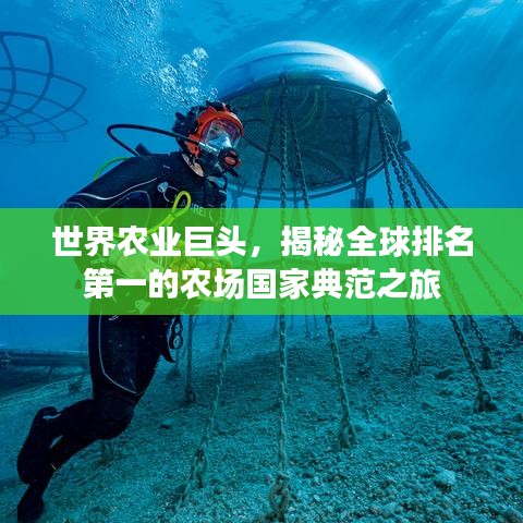 世界农业巨头，揭秘全球排名第一的农场国家典范之旅