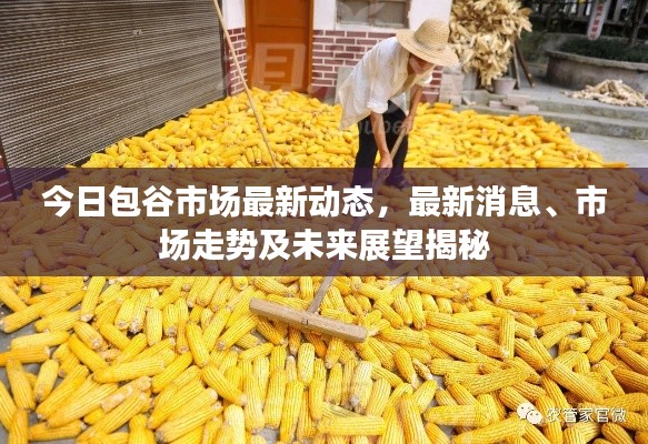 贵农贱商 第2页