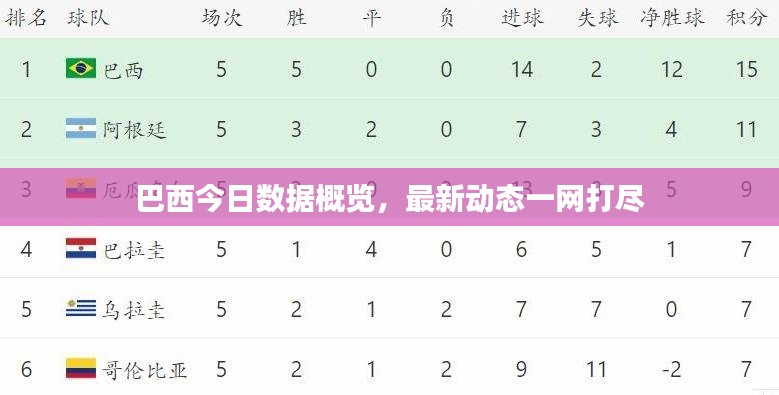 巴西今日数据概览，最新动态一网打尽