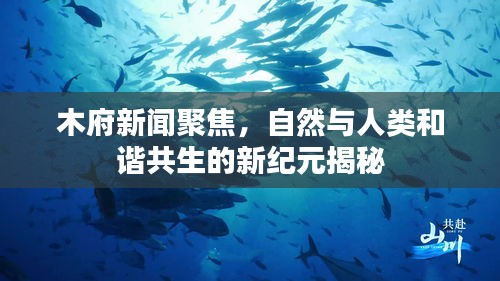 木府新闻聚焦，自然与人类和谐共生的新纪元揭秘