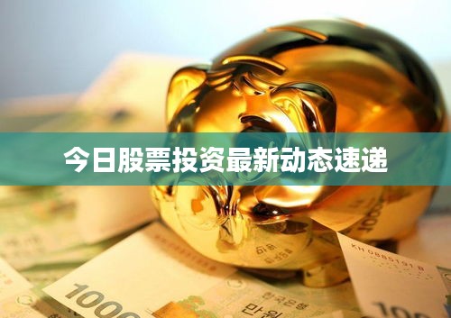 今日股票投资最新动态速递