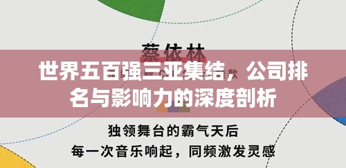 世界五百强三亚集结，公司排名与影响力的深度剖析