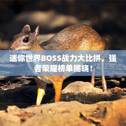 迷你世界BOSS战力大比拼，强者荣耀榜单揭晓！