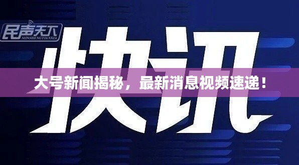 坌鸟先飞 第2页