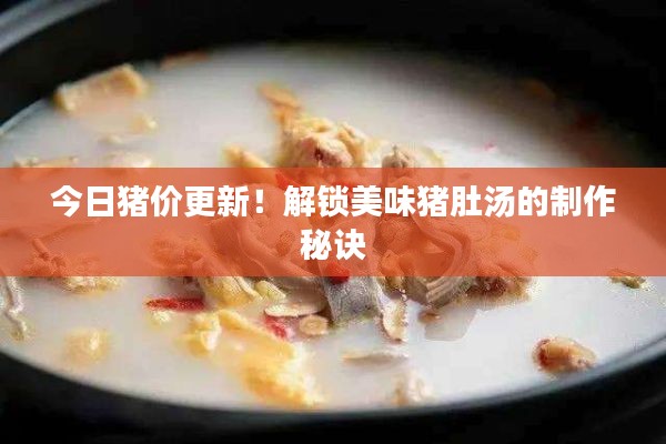 今日猪价更新！解锁美味猪肚汤的制作秘诀