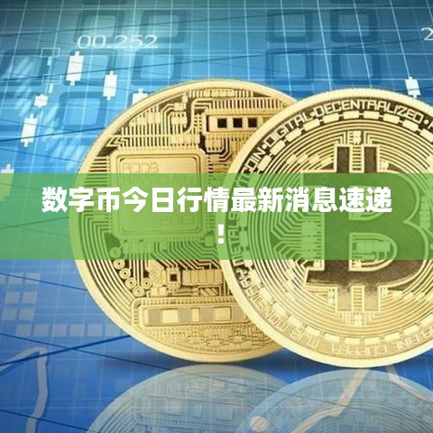 数字币今日行情最新消息速递！