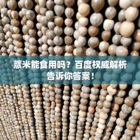 薏米能食用吗？百度权威解析告诉你答案！