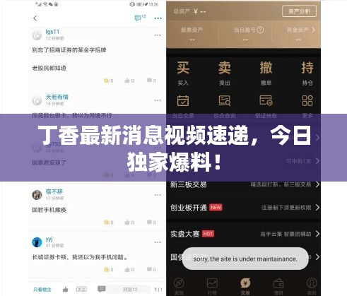 丁香最新消息视频速递，今日独家爆料！