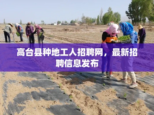 高台县种地工人招聘网，最新招聘信息发布
