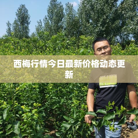 仙姿佚貌 第2页