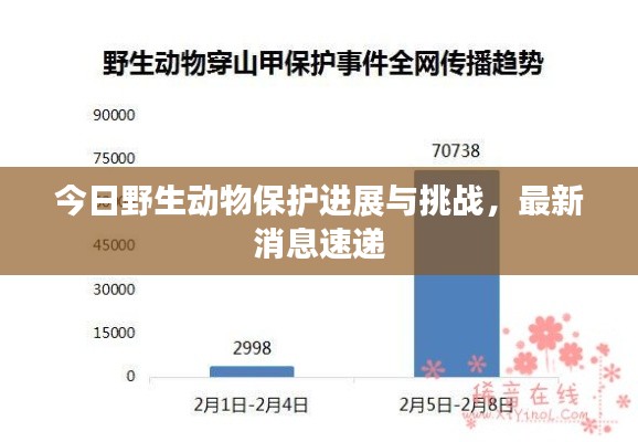 今日野生动物保护进展与挑战，最新消息速递
