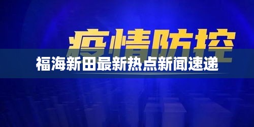福海新田最新热点新闻速递