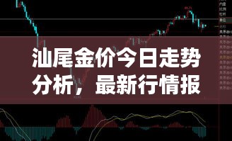 汕尾金价今日走势分析，最新行情报告