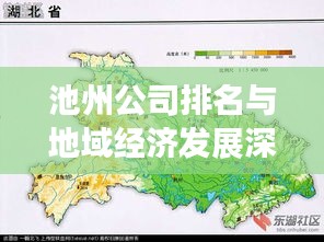池州公司排名与地域经济发展深度解析，洞悉发展脉络