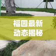 福园最新动态揭秘，今日状况更新消息
