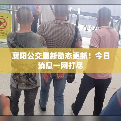 襄阳公交最新动态更新！今日消息一网打尽