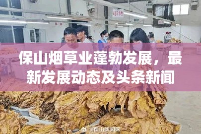 保山烟草业蓬勃发展，最新发展动态及头条新闻